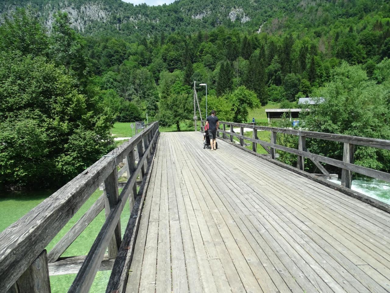 Apartma Kosnik *