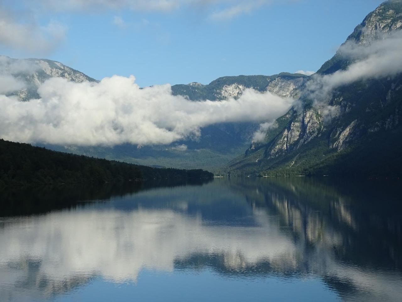 Apartma Kosnik * Bohinj