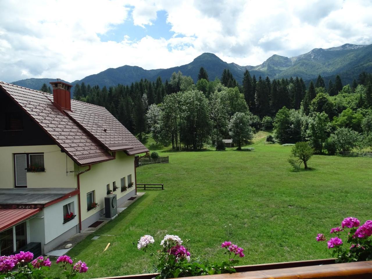 Apartma Kosnik *